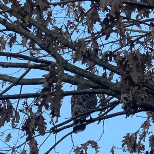 Meet your Posher, Scott